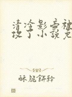 清冷影帝被老丑攻了小说免费阅读