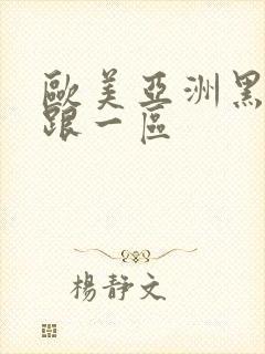 欧美亚洲黑丝高跟一区封面