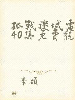 孤战迷城电视剧40集免费观看