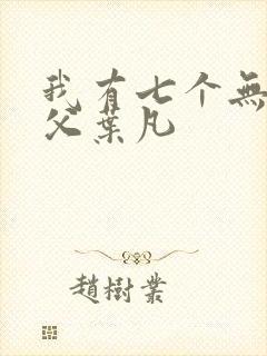 我有七个无敌师父叶凡封面