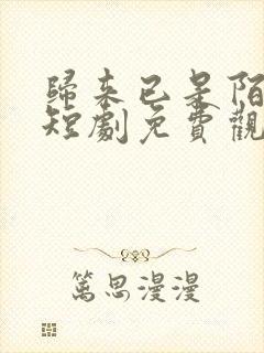 归来已是陌路人短剧免费观看全集