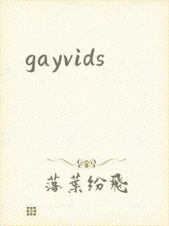 gayvids封面