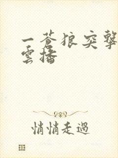 一苍狼突击队 云播