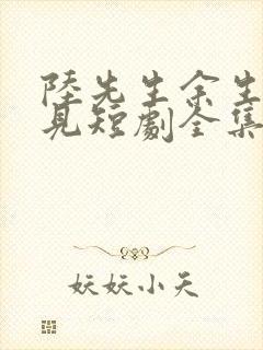 陆先生余生不再见短剧全集免费观看