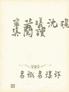 宁若曦沈砚舟全集阅读封面