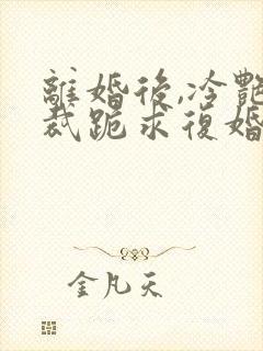 离婚后,冷艳总裁跪求复婚电子书txt下载