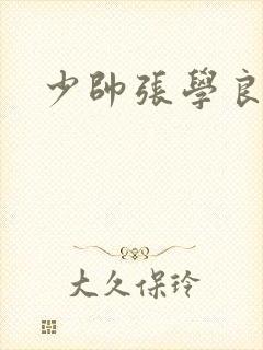 少帅张学良剧照