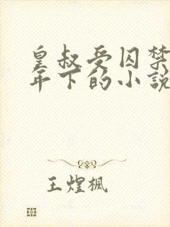 皇叔受囚禁生子年下的小说叫什么