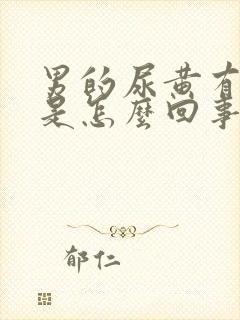 男的尿黄有泡沫是怎么回事封面