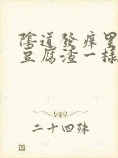 阴道发痒里面有豆腐渣一样的东西