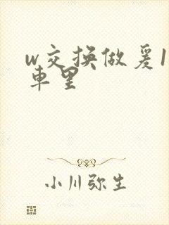 w交换做爰1在车里