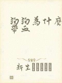 狗狗为什么尿里带血封面