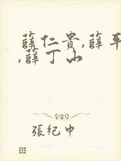 薛仁贵,薛平贵,薛丁山