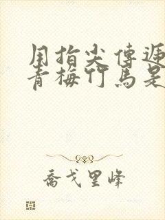 用指尖传递热情青梅竹马是消防2封面