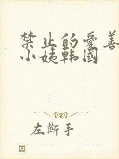 禁止的爱善良的小姨韩国封面