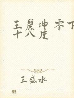 王丽坤 零下三十八度