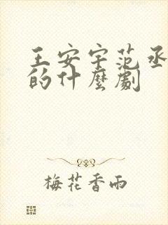 王安宇范丞丞演的什么剧