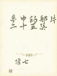 梦中的那片海第二十五集