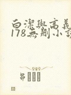 白洁与高义1～178无删小说封面
