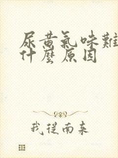 尿黄气味难闻是什么原因封面