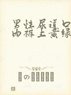 男性尿道口流脓内裤上黄绿色分泌物封面
