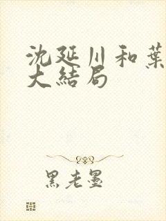 沈延川和叶初棠大结局