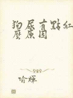 狗尿有点红是什么原因