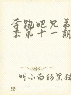 奔跑吧兄弟第三季第十一期免费观看