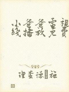 小爸爸电视剧在线播放免费