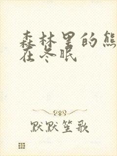 森林里的熊先生在冬眠