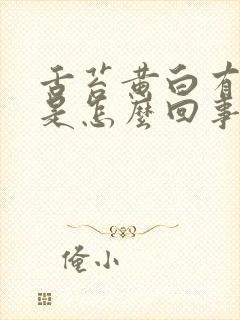 舌苔黄白有齿痕是怎么回事