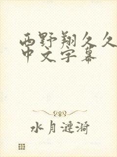 西野翔久久综合中文字幕