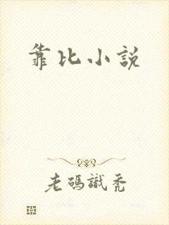 靠比小说封面