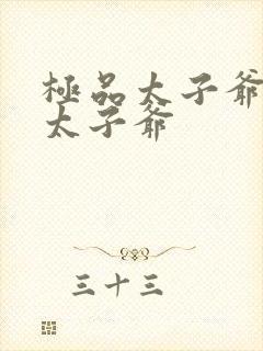 极品太子爷极品太子爷