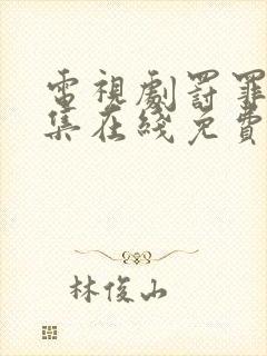 电视剧罚罪37集在线免费观看