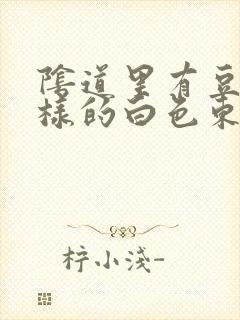 阴道里有豆腐渣样的白色东西