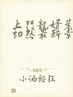 上门龙婿叶辰萧初然最新章节全文免费阅读