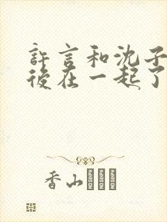 许言和沈子畅最后在一起了吗