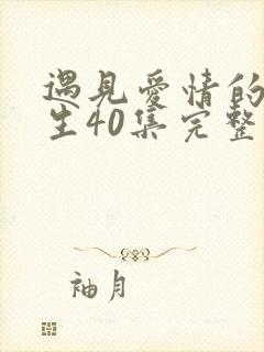 遇见爱情的利先生40集完整版全集