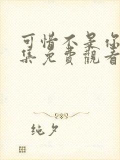 可惜不是你24集免费观看