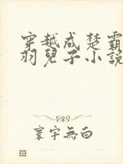 穿越成楚霸王项羽儿子小说免费阅读