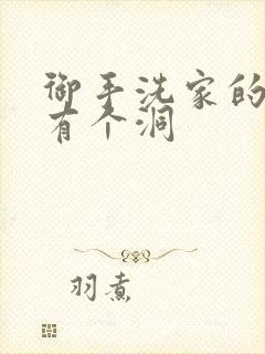 御手洗家的墙上有个洞