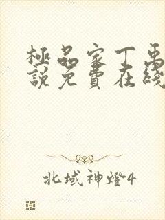 极品家丁禹岩小说免费在线阅读完整版