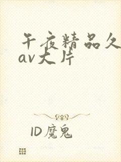 午夜精品久久久av大片