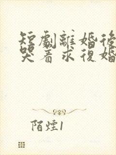 短剧离婚后前夫哭着求复婚完整版