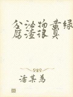 分泌物黄绿色豆腐渣很臭封面