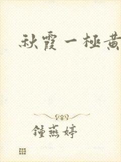 秋霞一极黄色片封面