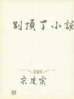 别顶了小说封面