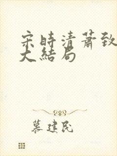 宋时清萧致徐蓉大结局封面