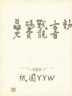 晶码战士动画片免费观看